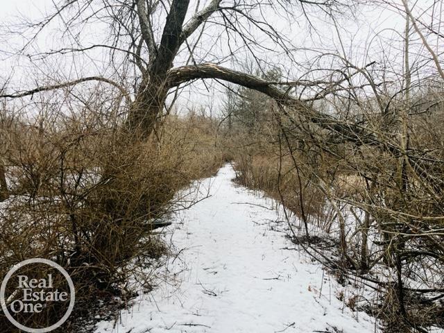 Vl Sunnyside Road Smiths Creek, MI 48074 - Photo 3 of 5