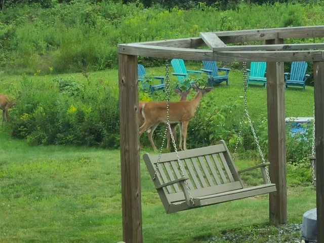 $275,000 | 1501 Eligo Lake Road, Greensboro, VT 05843