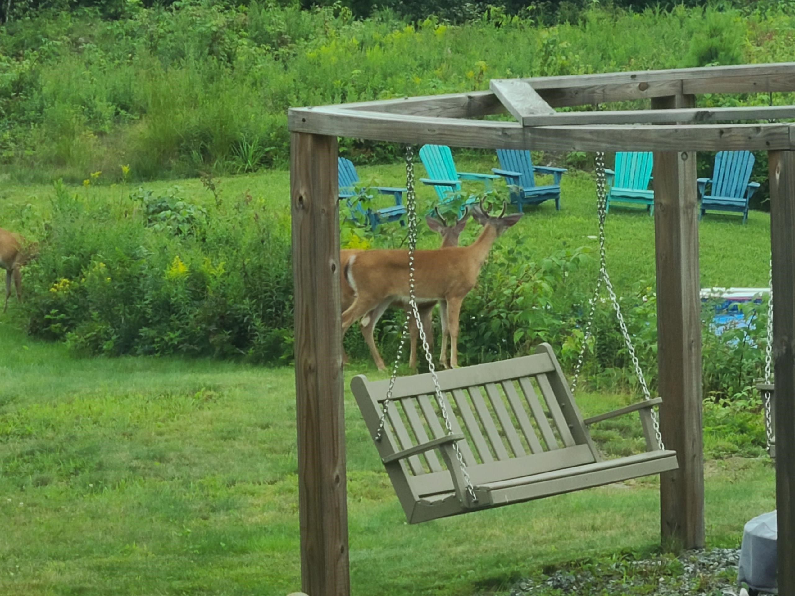 1501 Eligo Lake Road Greensboro, VT 05843 - Photo 12 of 16