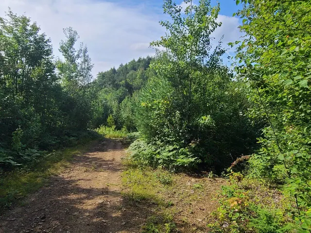 $275,000 | 1501 Eligo Lake Road, Greensboro, VT 05843