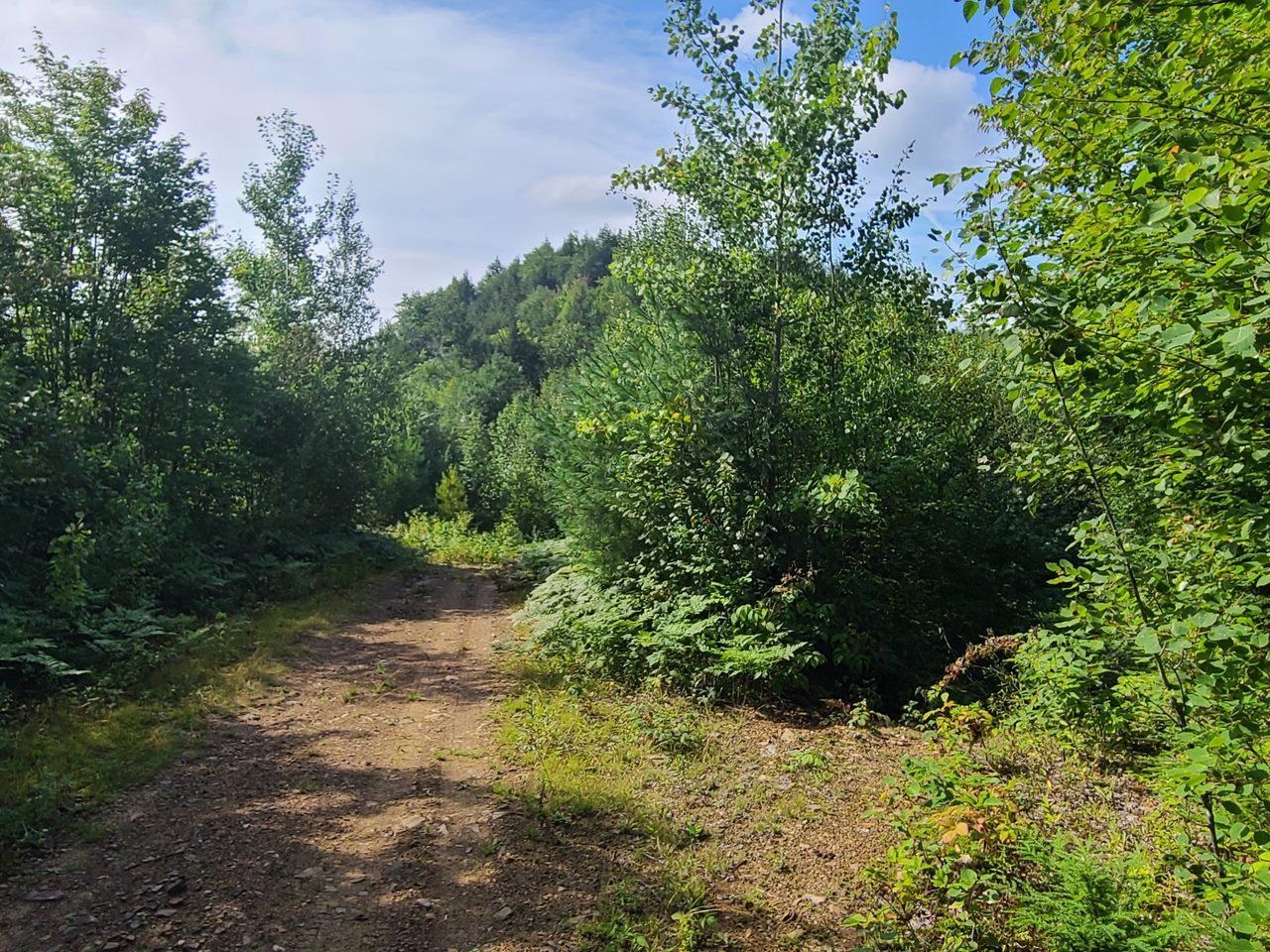 1501 Eligo Lake Road Greensboro, VT 05843 - Photo 13 of 16