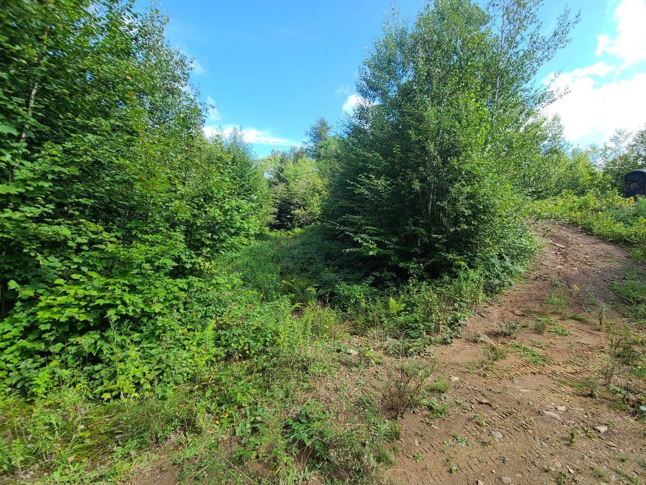 1501 Eligo Lake Road Greensboro, VT 05843 - Photo 14 of 16