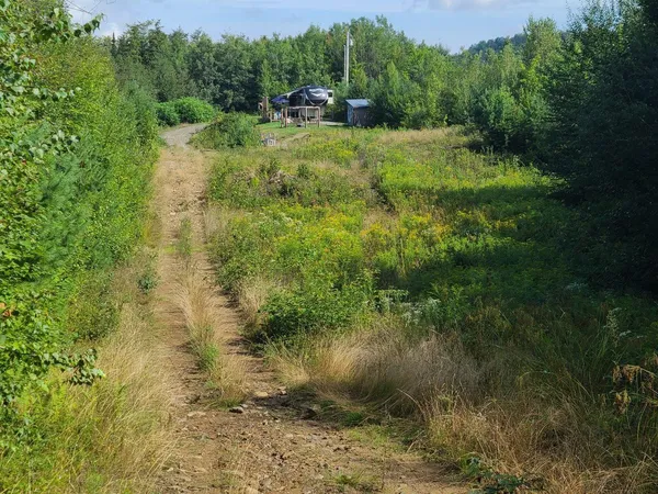 $275,000 | 1501 Eligo Lake Road, Greensboro, VT 05843