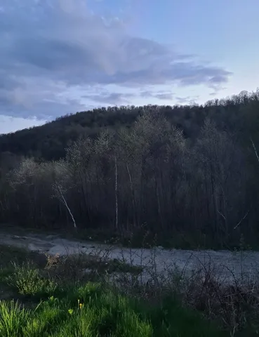 $275,000 | 1501 Eligo Lake Road, Greensboro, VT 05843