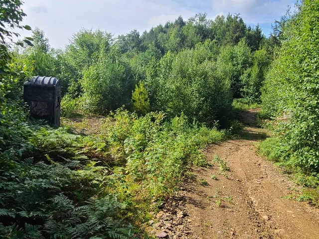 $275,000 | 1501 Eligo Lake Road, Greensboro, VT 05843