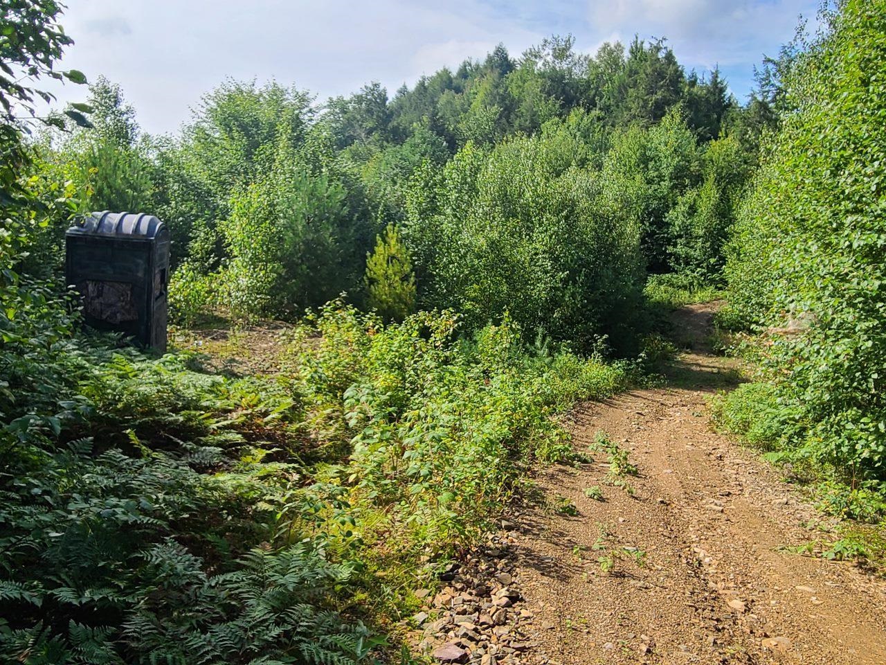 1501 Eligo Lake Road Greensboro, VT 05843 - Photo 10 of 16