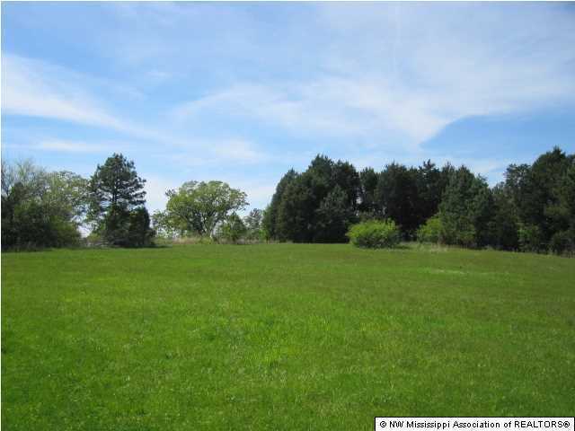 2515 Hernando Road Holly Springs, MS 38635 - Photo 1 of 25 Primary Photo