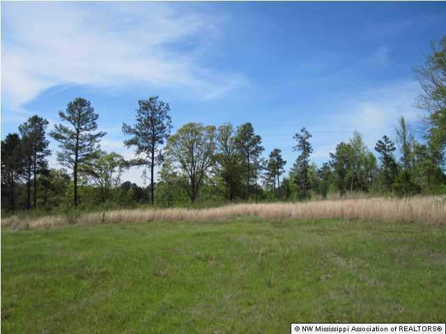 2515 Hernando Road Holly Springs, MS 38635 - Photo 10 of 25 Additional Photo