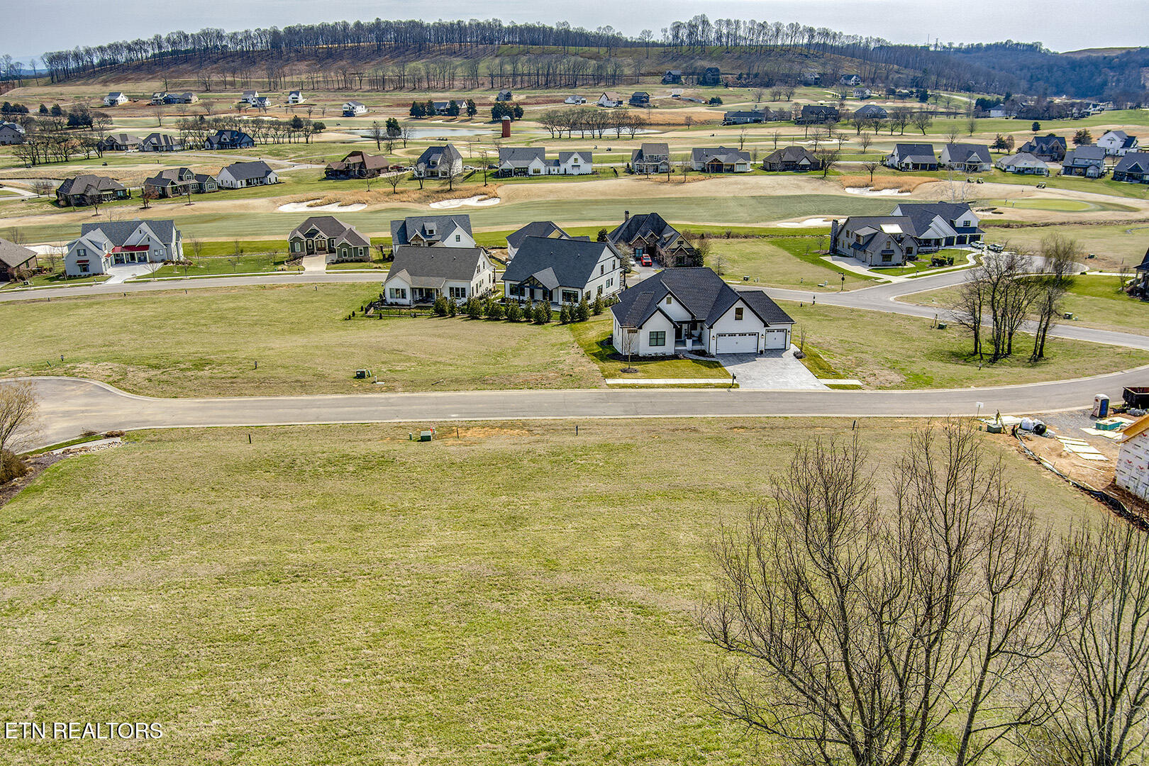 419 Hawks Bend Loudon, TN 37774 - Photo 14 of 47 08_HawksBend_419_LotBackElevated_S-SE