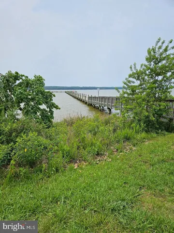 a view of a river and garden in the back