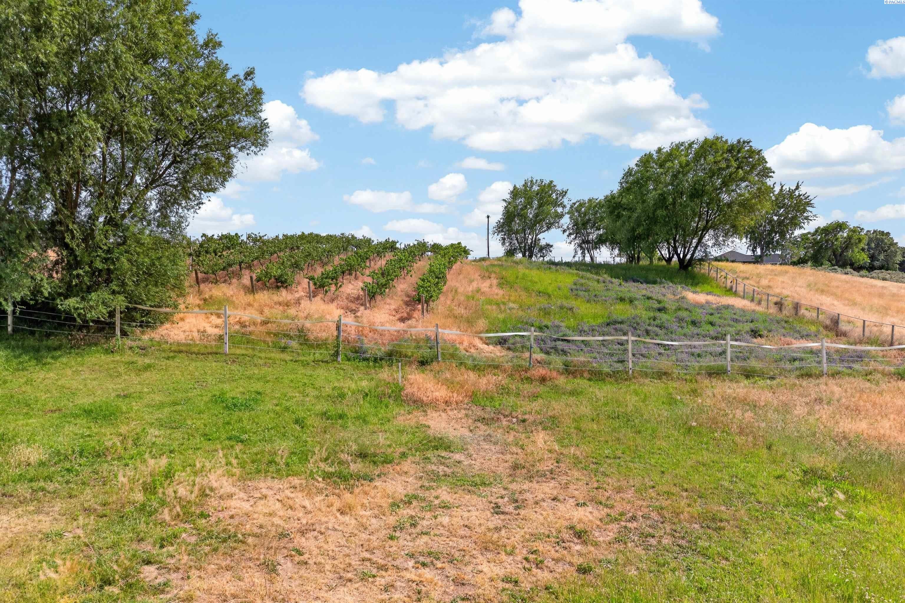 Tbd East Terril Road Kennewick, WA 99337 - Photo 10 of 15 Gallery Image 10