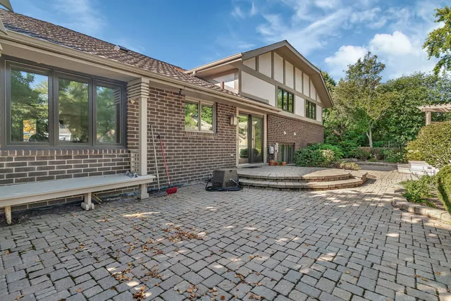 a view of a yard with plants and trees