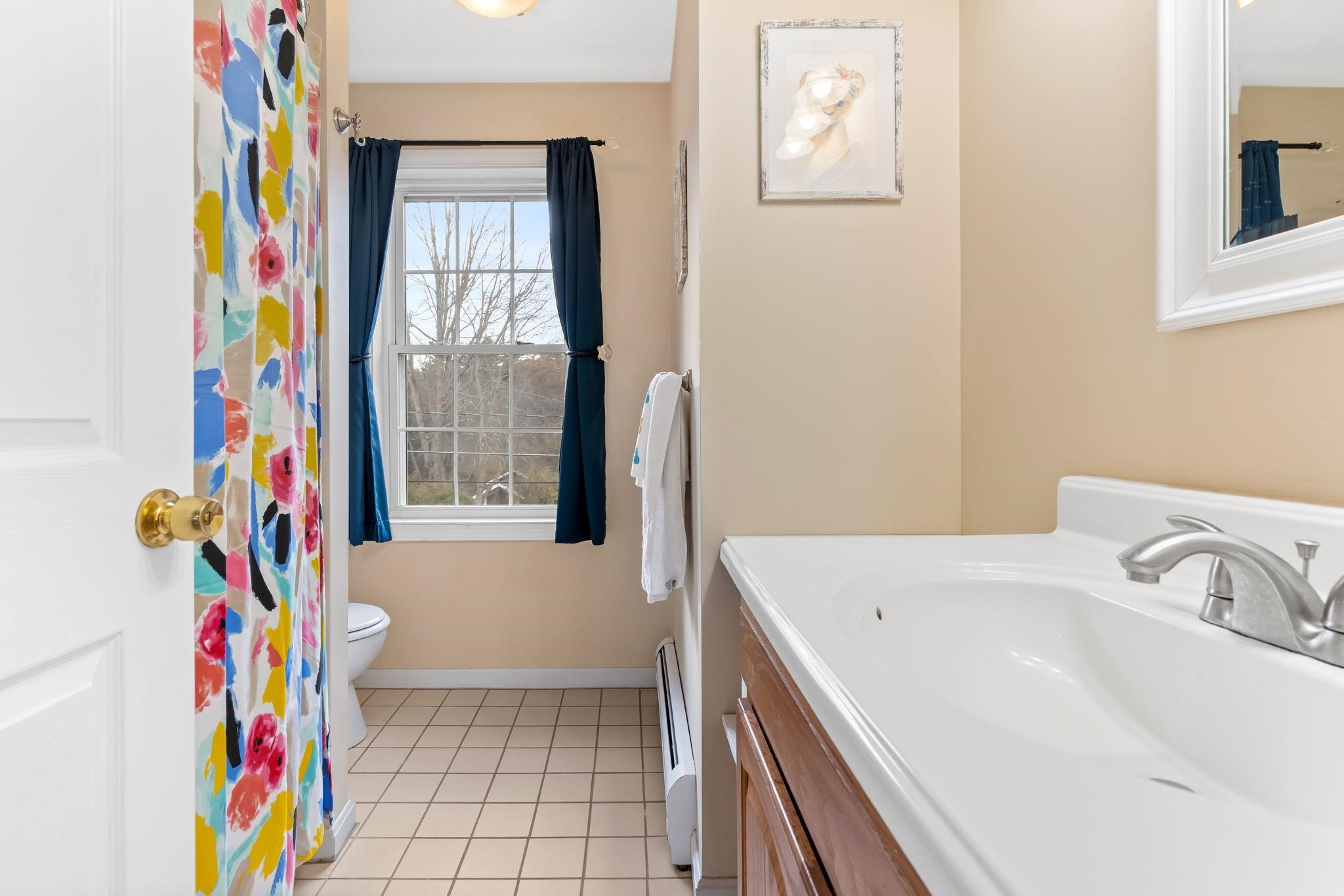 5 Jillerick Road Allenstown, NH 03275 - Photo 14 of 32