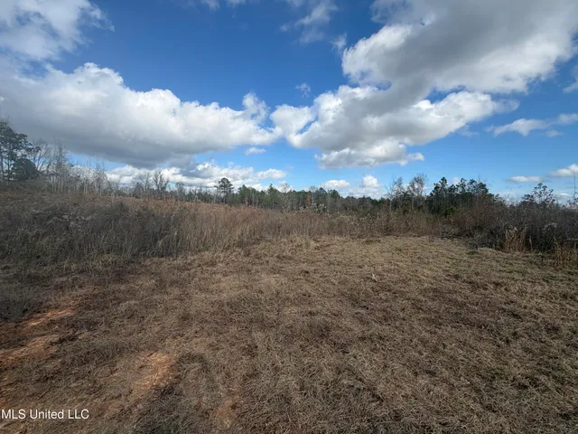 $449,900 | 0 Clem Road, Prentiss, MS 39474
