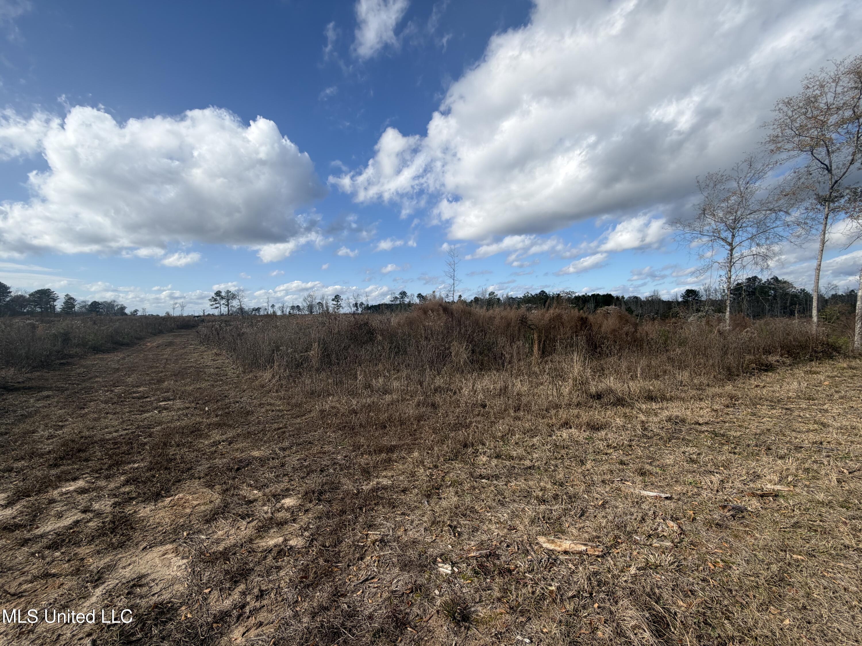 0 Clem Road Prentiss, MS 39474 - Photo 6 of 7 IMG_1774