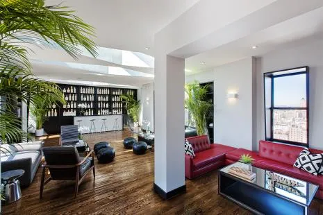 a living room with furniture and a potted plant
