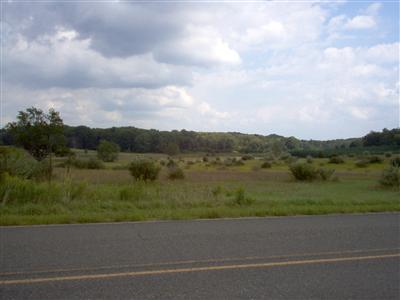 175th Avenue Reed City, MI 49677 - Photo 1 of 3 Primary Photo