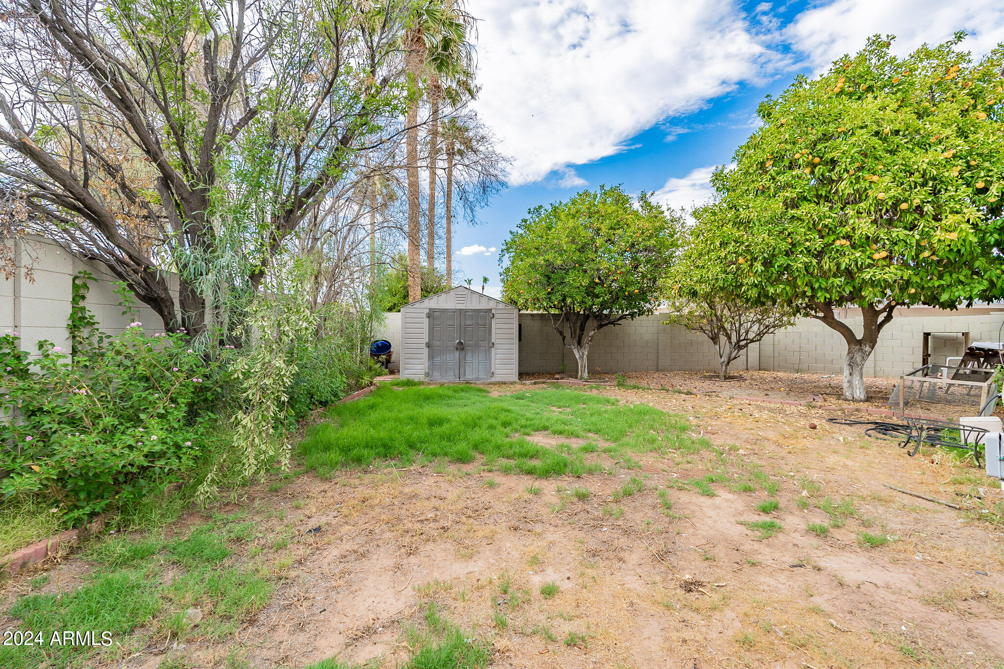 8313 East Redwing Road Scottsdale, AZ 85250 - Photo 37 of 54 Storage Shed