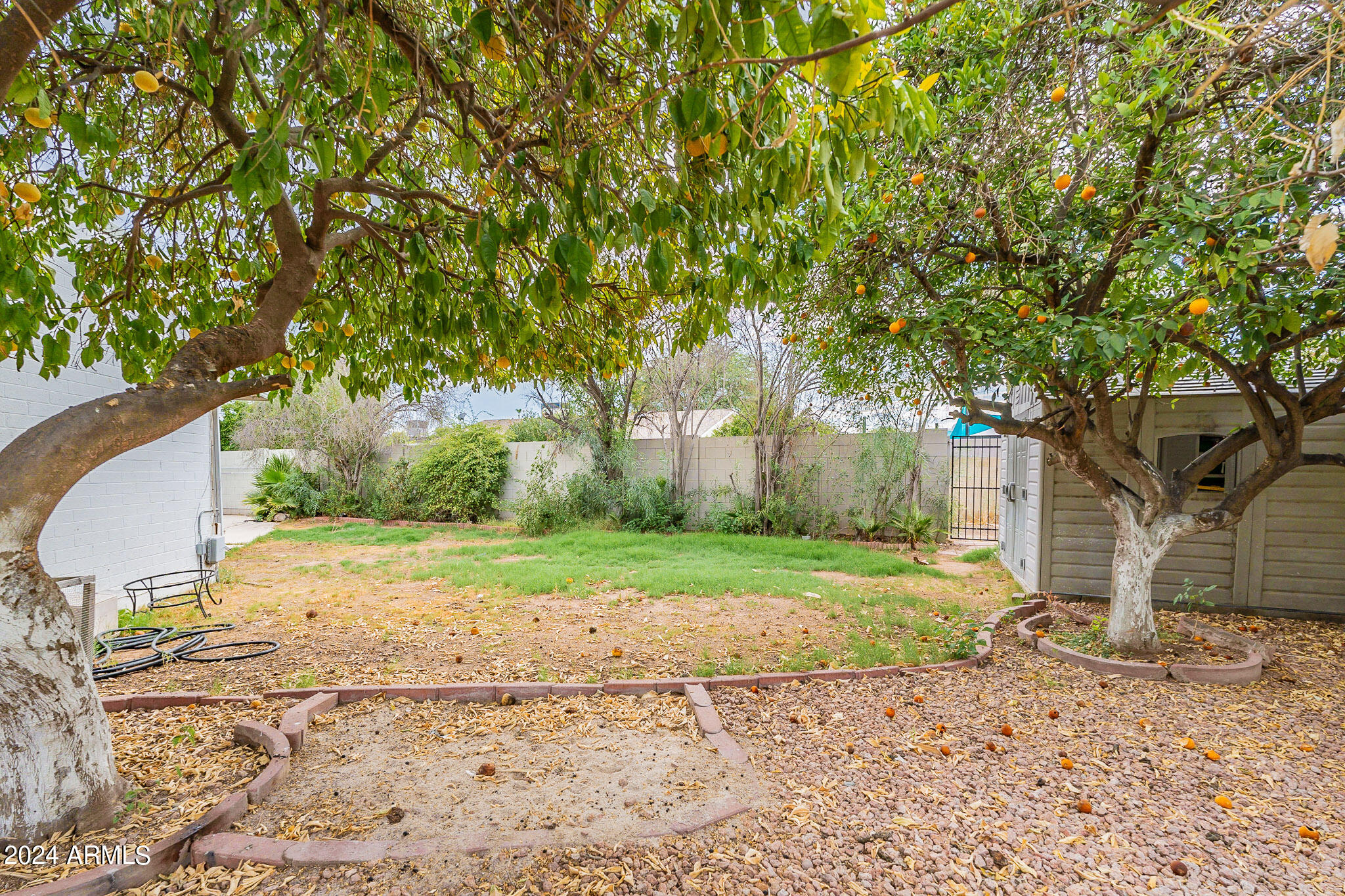 8313 East Redwing Road Scottsdale, AZ 85250 - Photo 38 of 54 Backyard