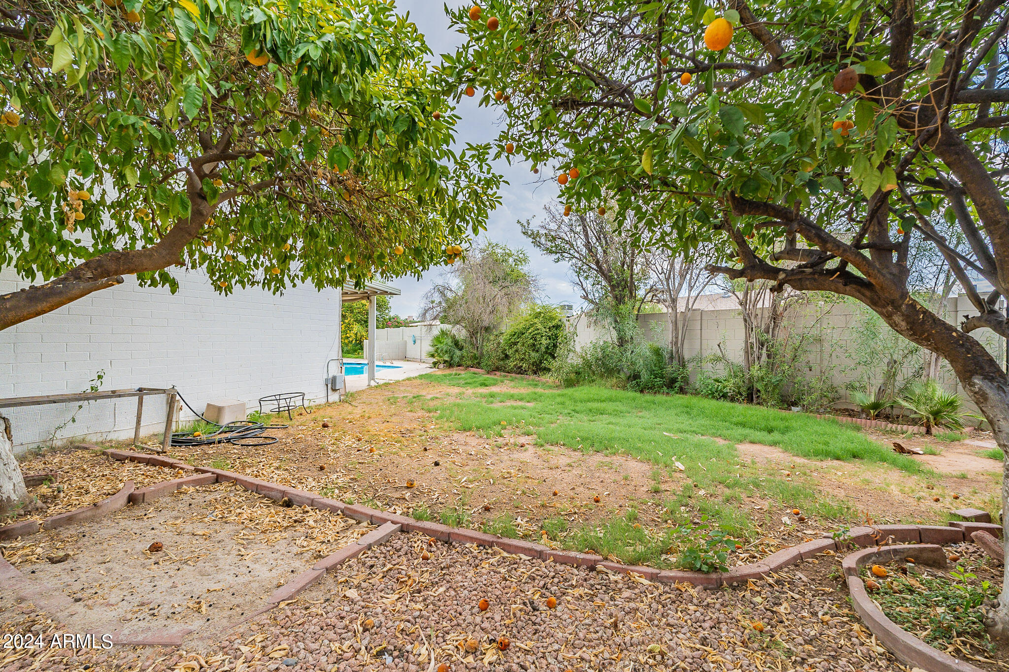 8313 East Redwing Road Scottsdale, AZ 85250 - Photo 39 of 54 Back Yard