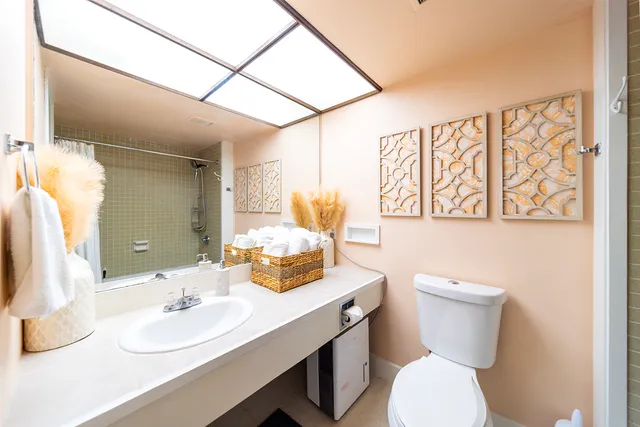a bathroom with a sink mirror vanity and toilet