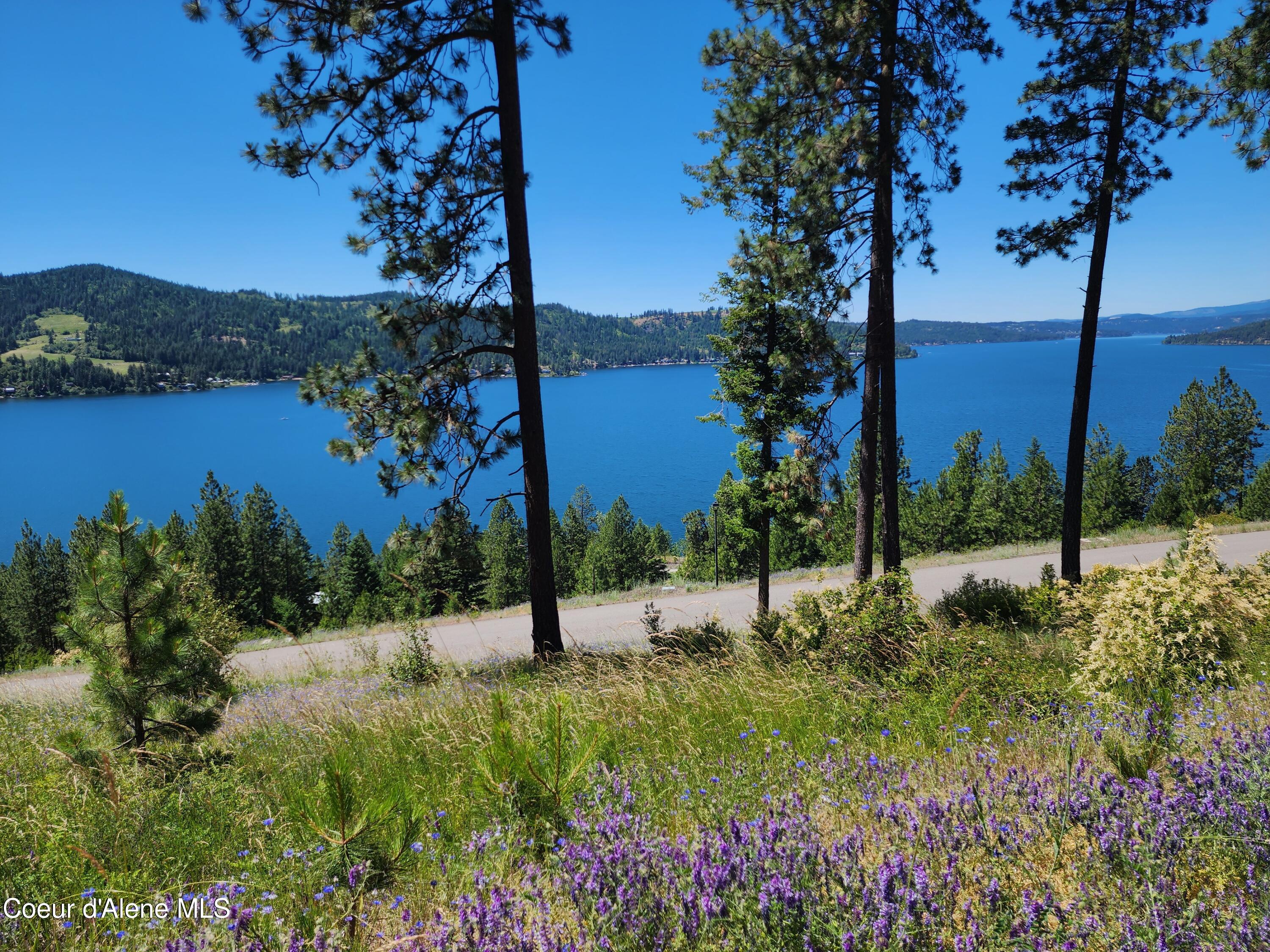 Lt26-bk3 South Lt26-bk3 S Hearthstone Road Harrison, ID 83833 - Photo 1 of 1 Lt 26 Blk3 S Hearthstone Rd