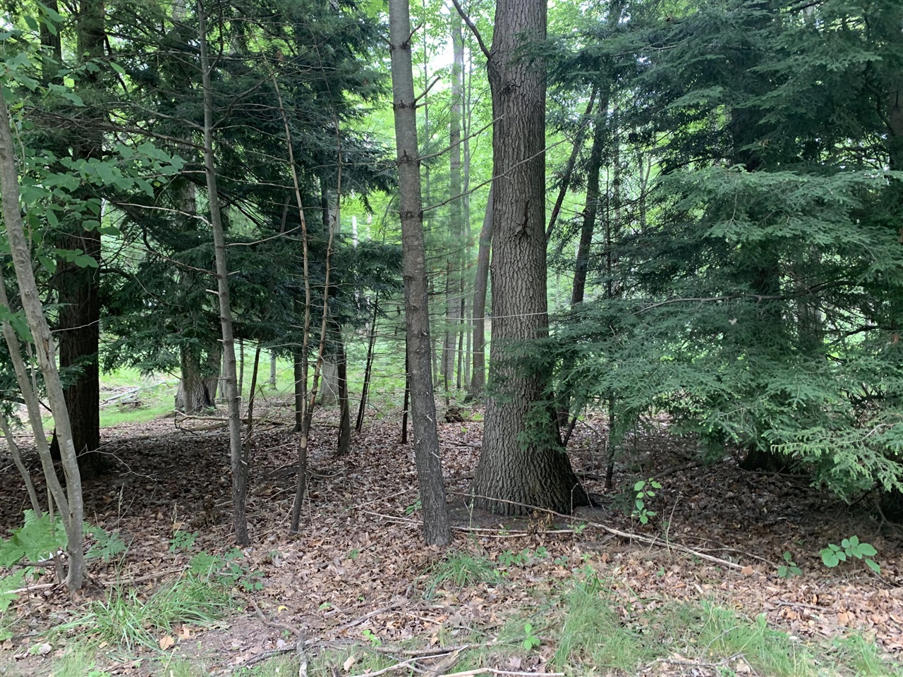 V/l West Jagger Road Scottville, MI 49454 - Photo 1 of 2 Gallery Image 1