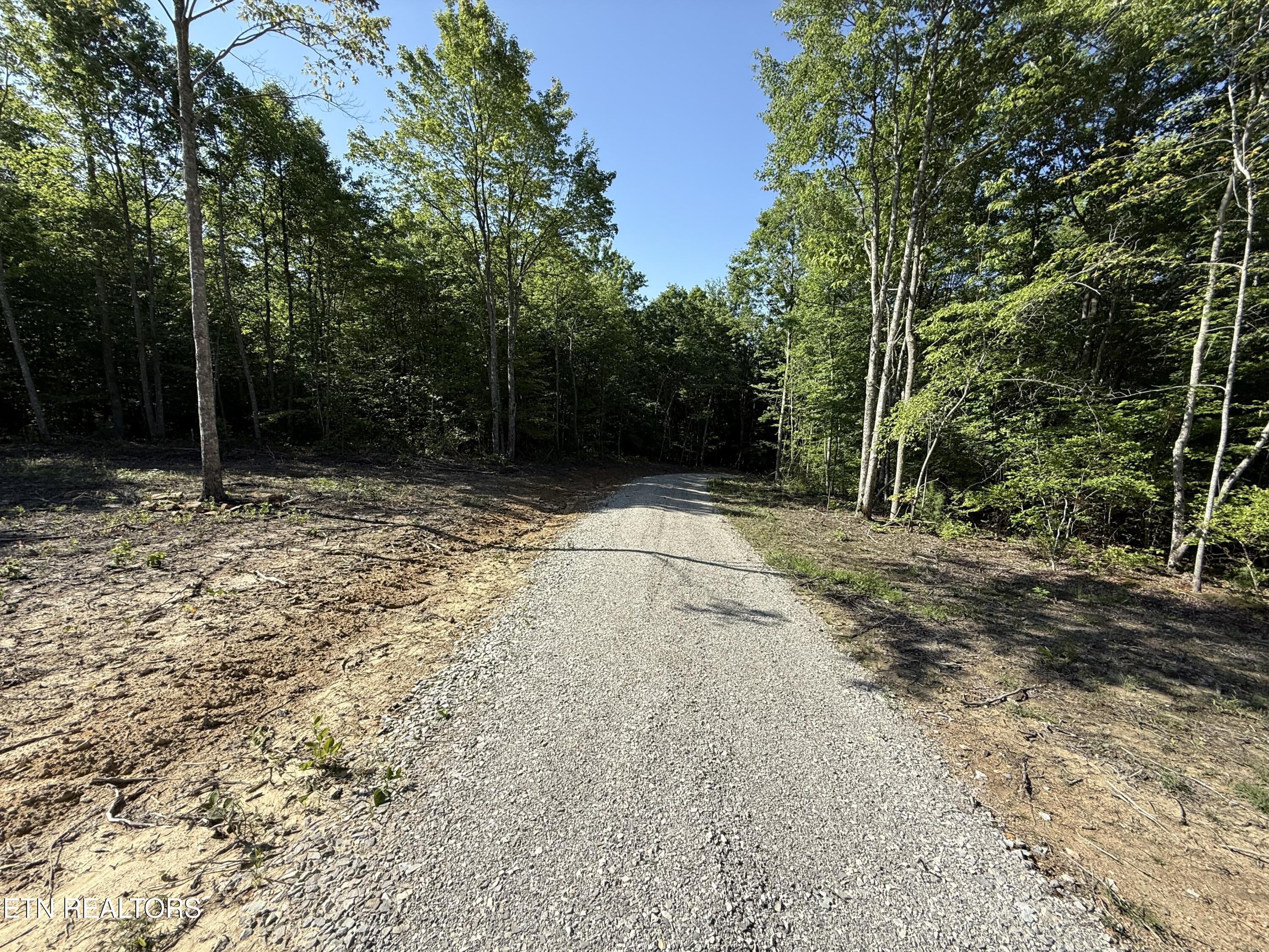 969 Lewallen Road Sunbright, TN 37872 - Photo 17 of 21 IMG_4308