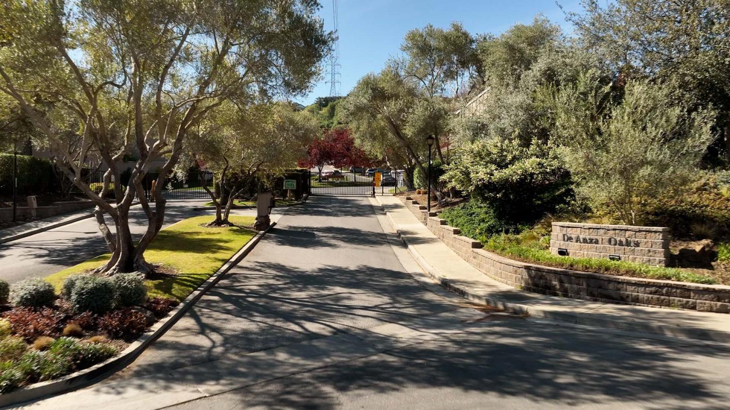 a view of a park with large trees