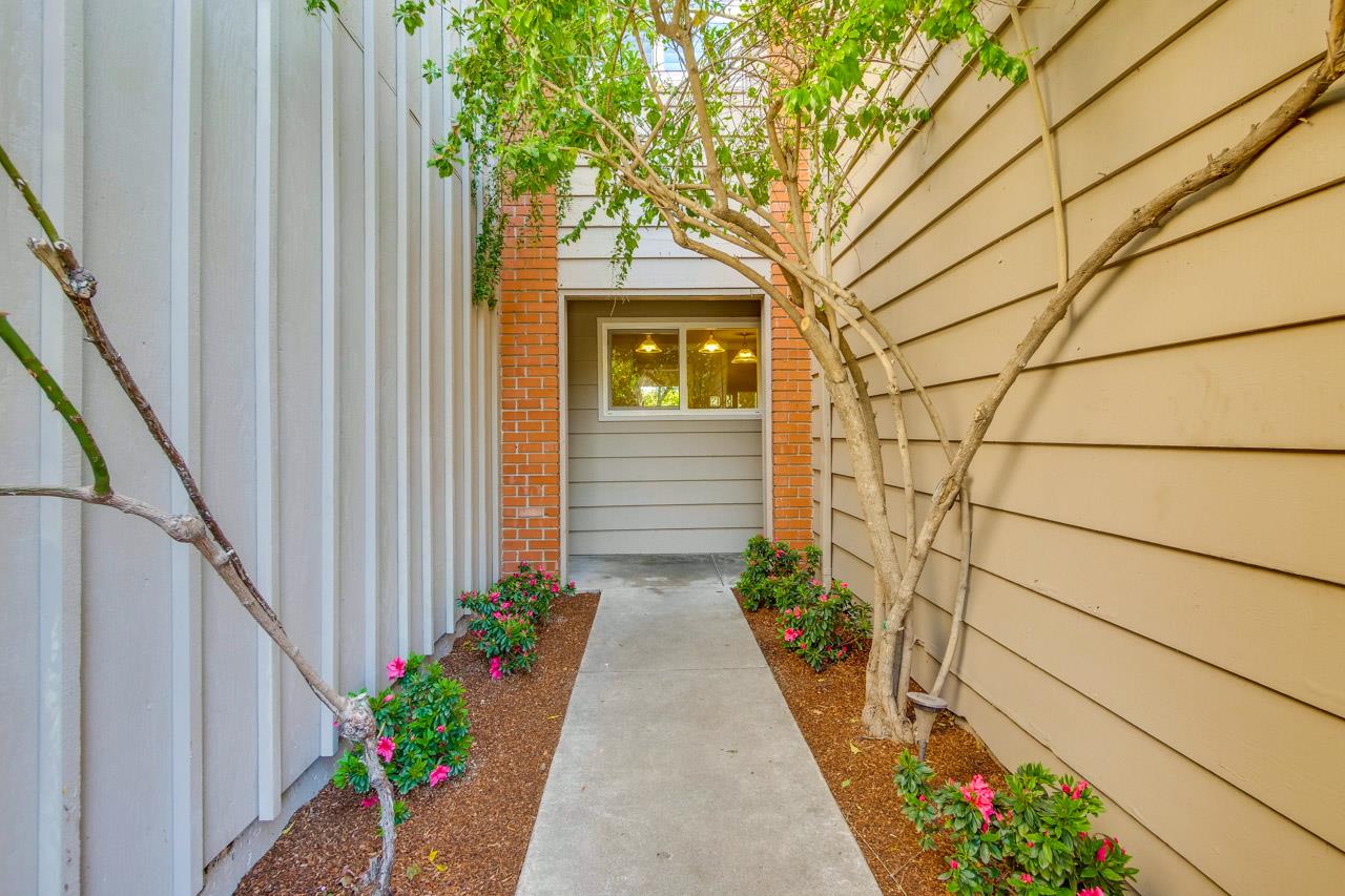 22903 Longdown Road Cupertino, CA 95014 - Photo 5 of 42 a view of a pathway with house plants