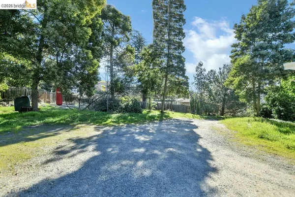 a view of a yard with plants and trees