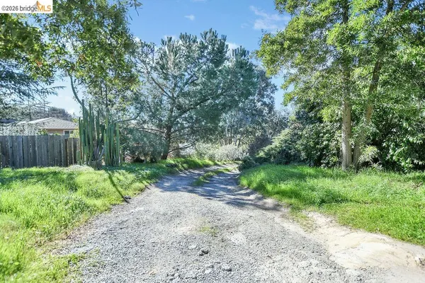 a view of a backyard with large trees