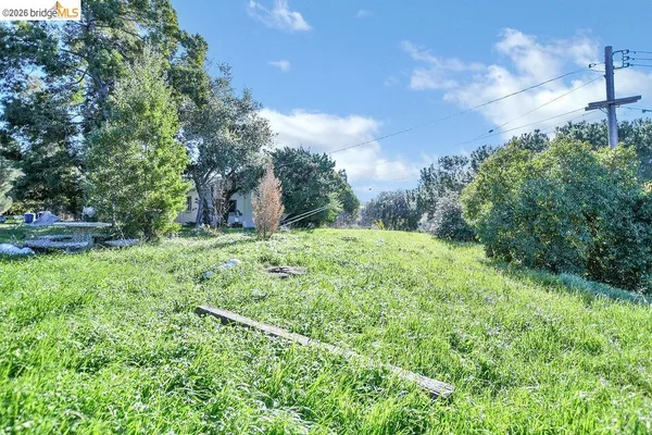 a view of a yard with an tree