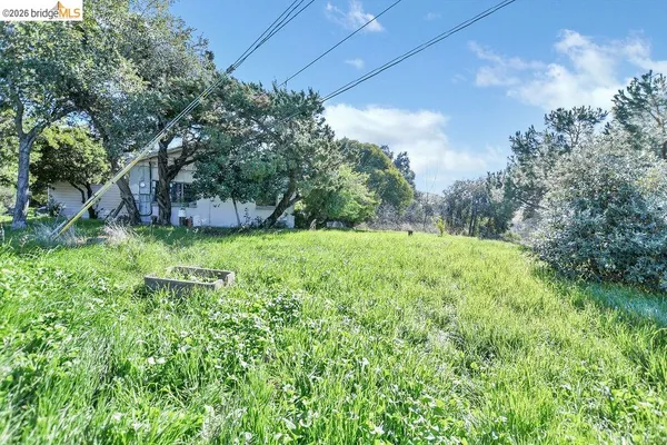 a view of a big yard with large trees