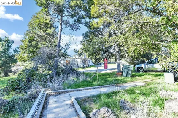 a view of backyard with green space