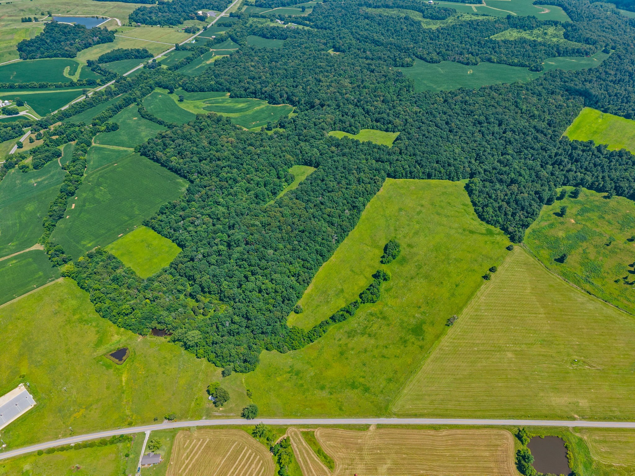 0 Highway 672 Princeton, KY 42445 - Photo 9 of 41