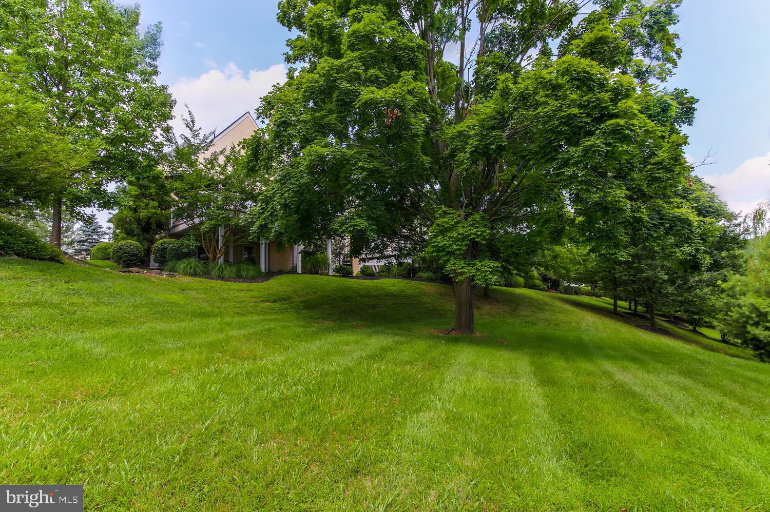 259 Valley Ridge Road Haverford, PA 19041 - Photo 29 of 30 Privacy and green space.
