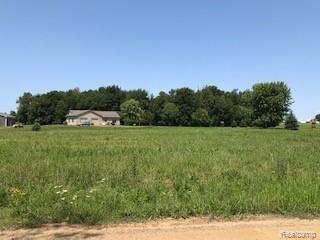 1920 Murphy Lake Road Millington, MI 48746 - Photo 6 of 36 IMG_3175.jpg