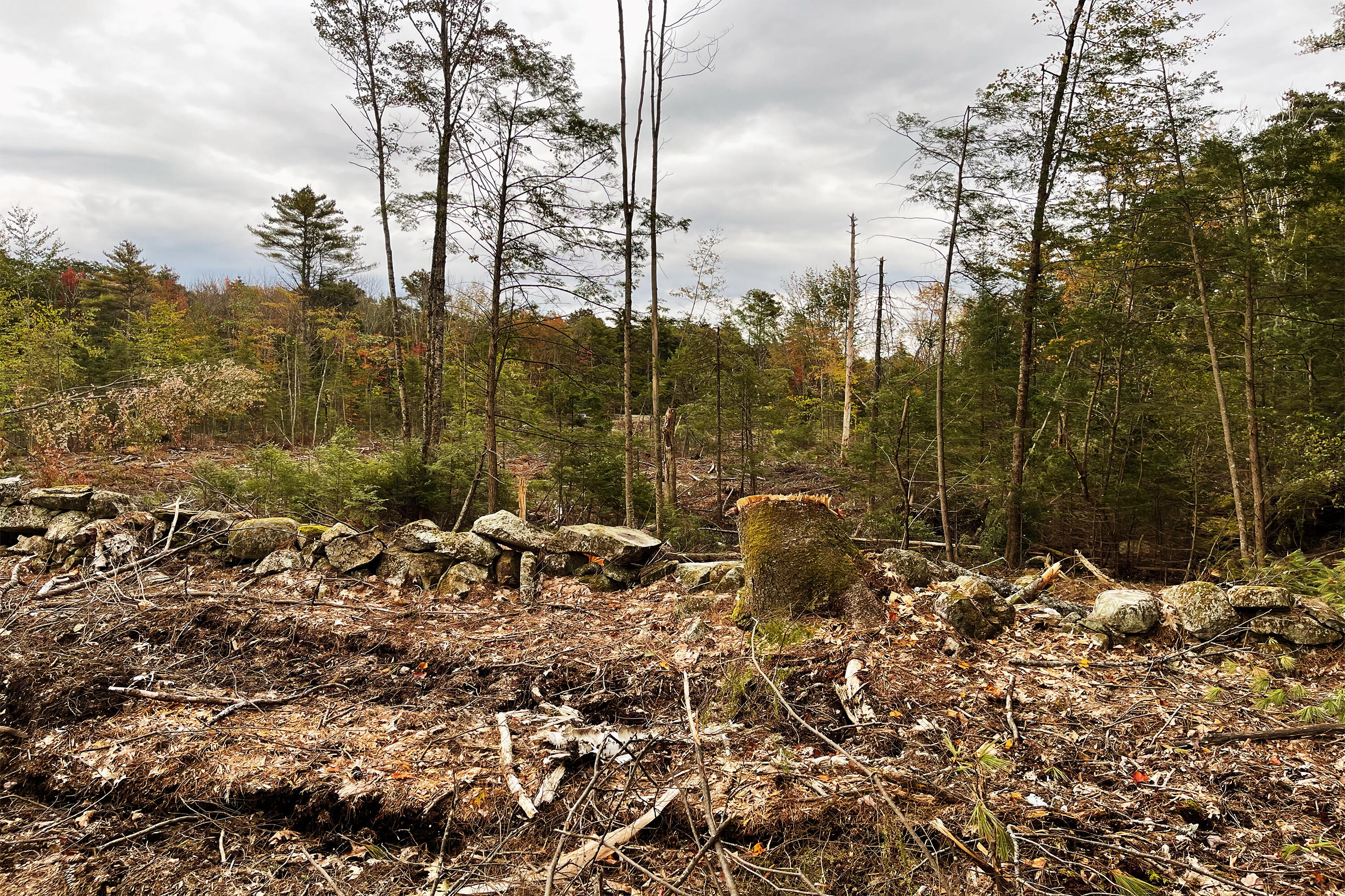 Tbd Pond Road West Gardiner, ME 04345 - Photo 11 of 16 TBDPondRd6 copy