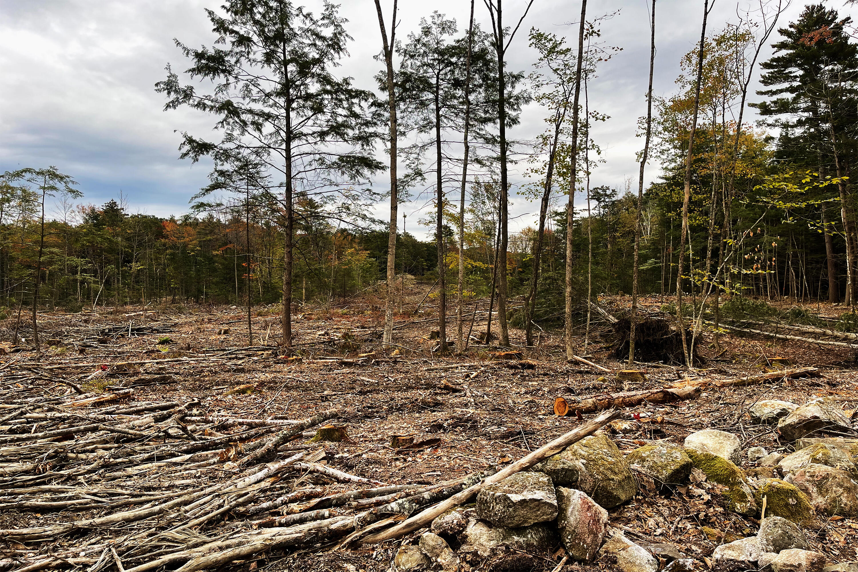 Tbd Pond Road West Gardiner, ME 04345 - Photo 12 of 16 TBDPondRd8 copy