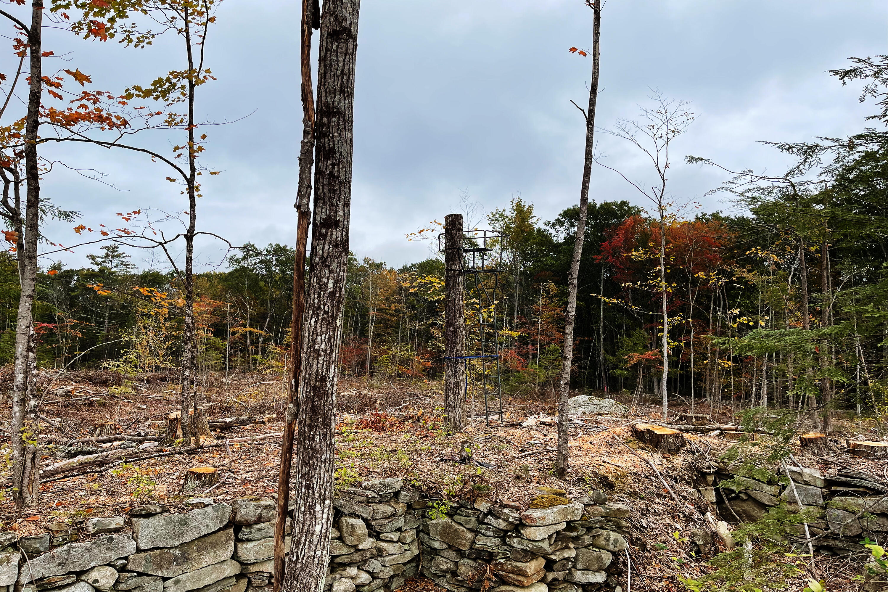 Tbd Pond Road West Gardiner, ME 04345 - Photo 16 of 16 TBDPondRd14 copy