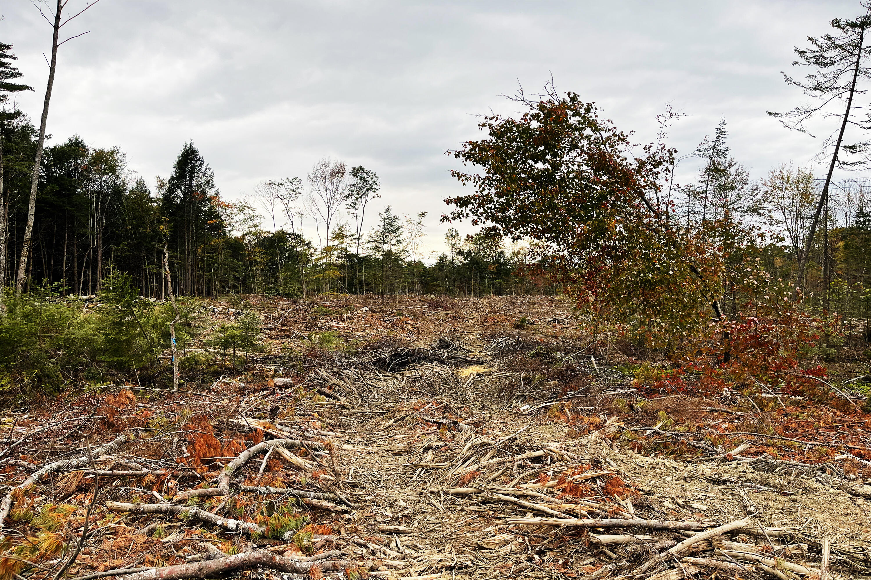Tbd Pond Road West Gardiner, ME 04345 - Photo 10 of 16 TBDPondRd4 copy