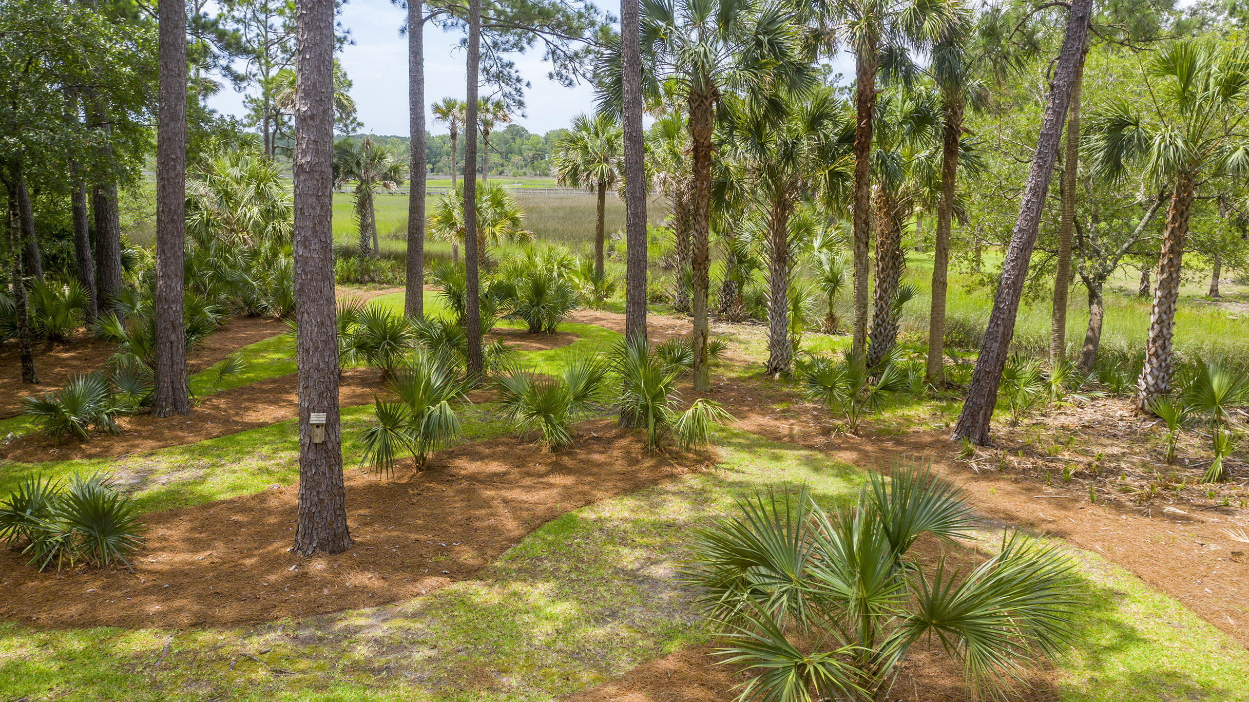 2155 Shell Ring Circle Mount Pleasant, SC 29466 - Photo 20 of 89 Shell_Edited_011