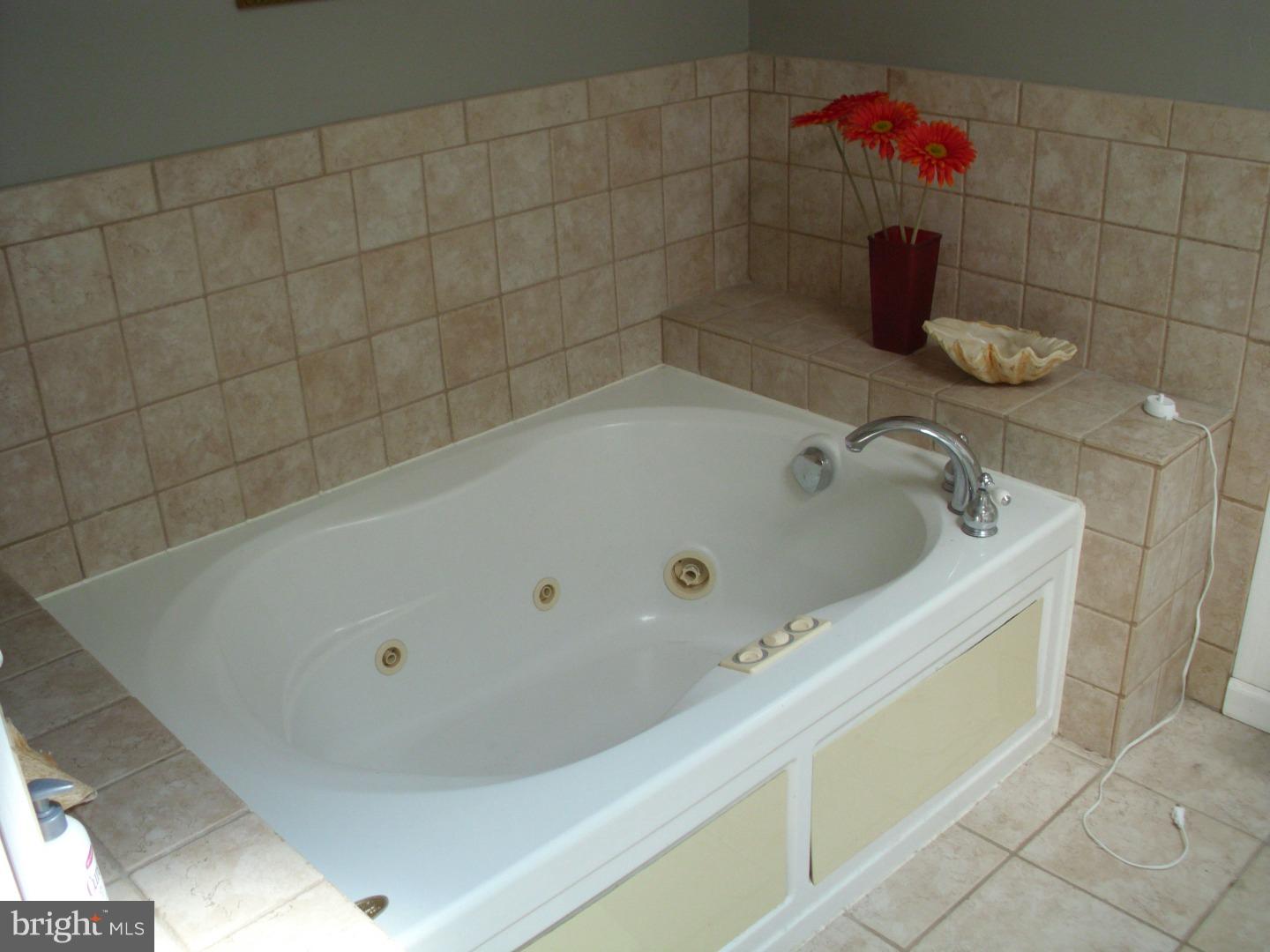 4232 Whiting Road Philadelphia, PA 19154 - Photo 11 of 16 Bathroom