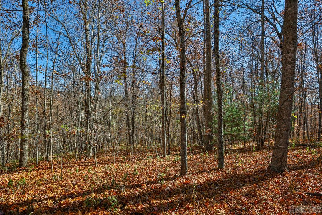 Tbd Buck Knob Road Highlands, NC 28741 - Photo 3 of 13 Gallery Image 3