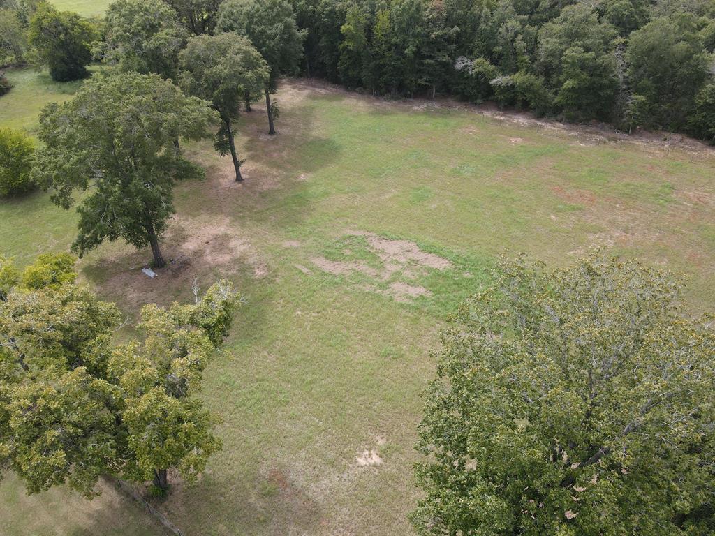 Undisclosed Address Newton, AL 36352 - Photo 12 of 13