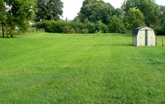 122 Fairfield Road Wartrace, TN 37183 - Photo 10 of 12 BACK YARD