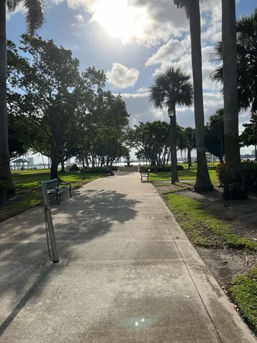 a park with tall trees