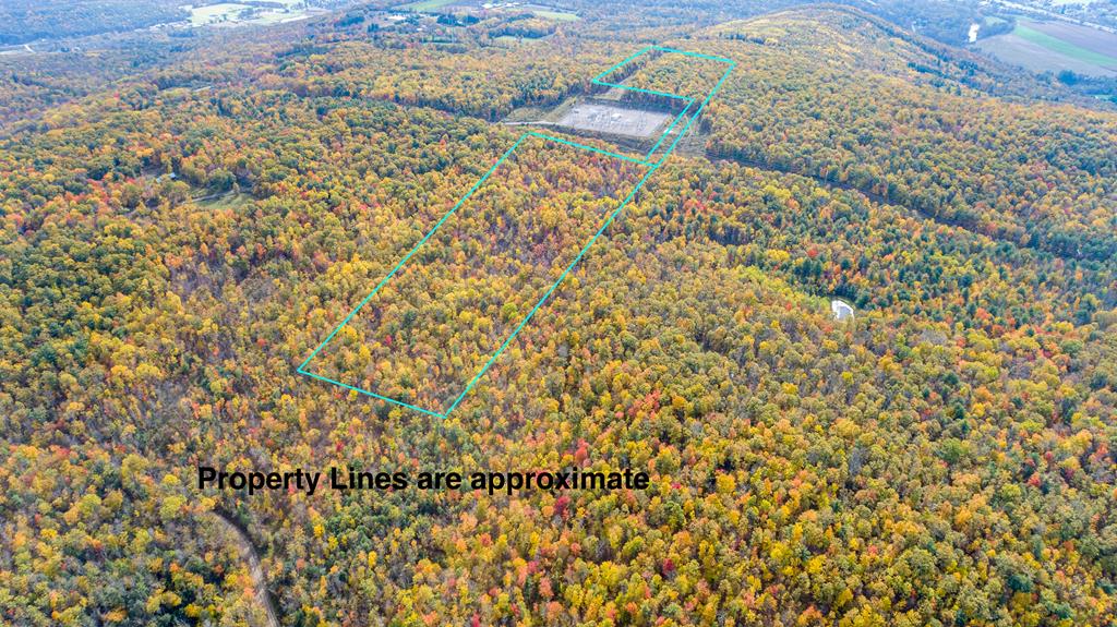 0 Rumsey Road Campbell, NY 14821 - Photo 1 of 1