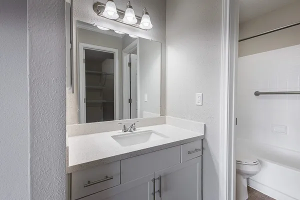 a bathroom with a sink a toilet and a mirror